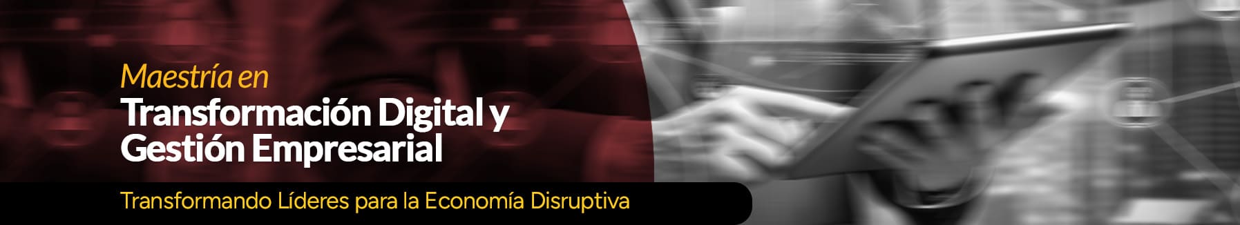 Maestría en Transformación Digital y Gestión Empresarial
